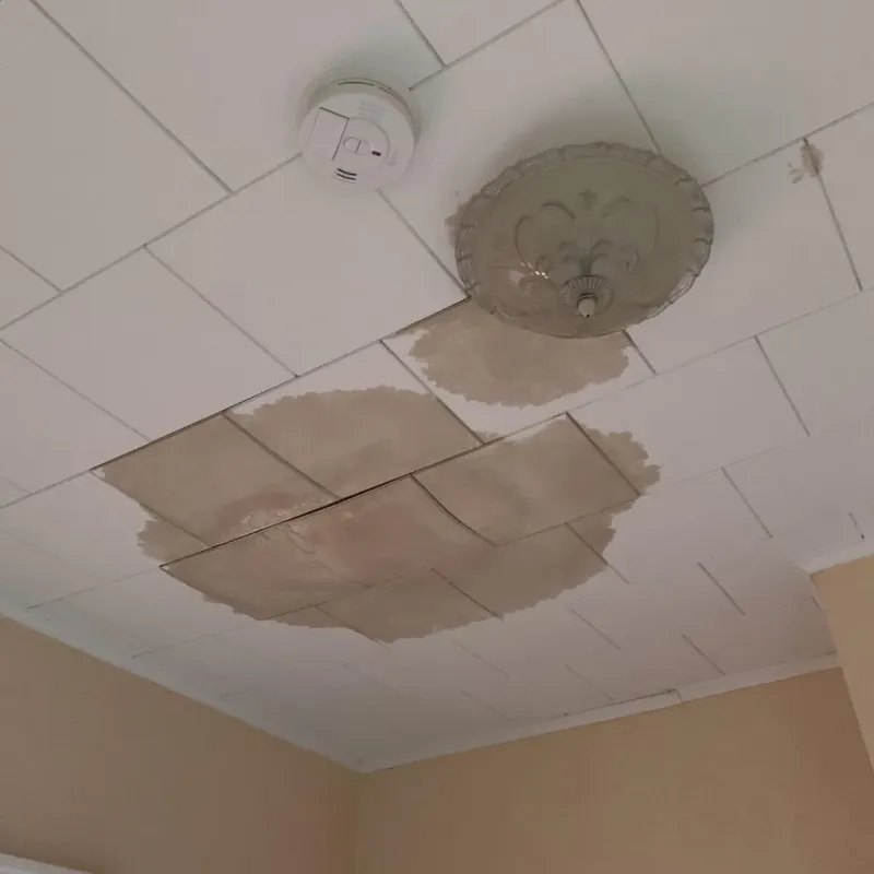Ceiling Water Damage Repair in New Eagle, PA