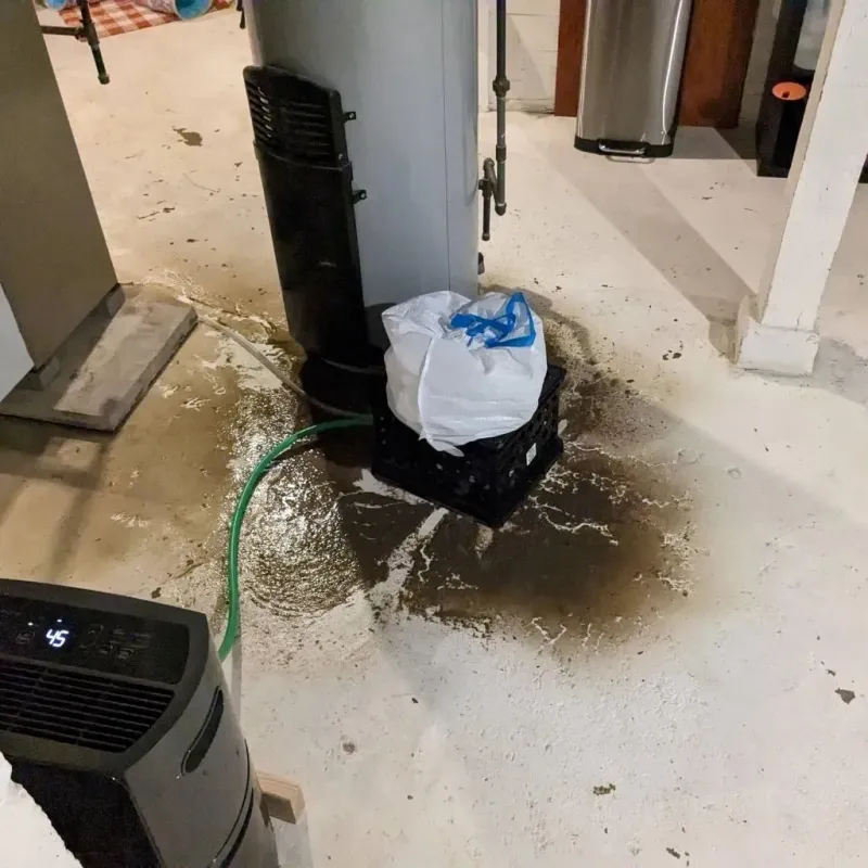 Sewage Backup Cleanup Service in New Eagle, PA